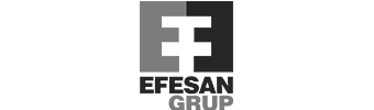 efesan_logo